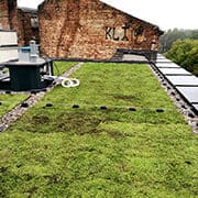 Dach zielony Praska Moderna w Warszawie